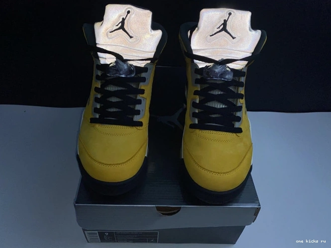 Chep Onekick Air T23 5 454783-701 Retro Jordan Tokyo 0817